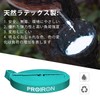 PROIRON レジスタンスバンド 抵抗バンド トレーニングバンド 天然ラテックス製 緑 (6.7-13KG)