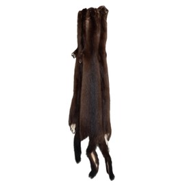DakotaLine Furs Female Wild American Mink : Premium Grade - Genuine Real Fur Pelt/Hide, Tanned for Sewing, Display, Decoration, Garnment, and Crafting - 25" Length Average