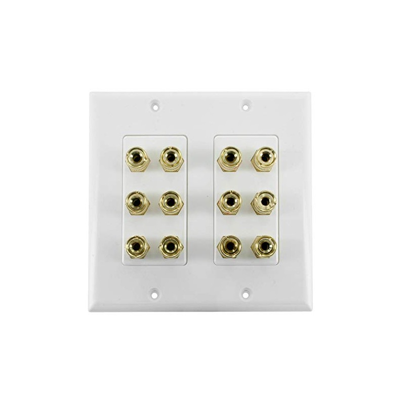 6 Speaker Cable Wall Plate Double Gang for 6 Surround