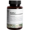 GUDGUT - Probióticos - 35 Billones UFC - Inulina de Agave - Colitis - Sindrome de Intestino Irritable - Sin azucar añadida