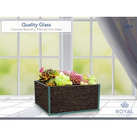 Royal Imports Flower Glass Vase Decorative Centerpiece for Home or Wedding Low Square Plate Glass, 8"x8"x4"(H)