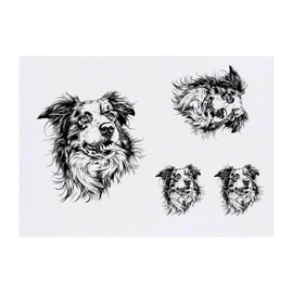 4 x 'Australian Shepherd Portrait' Temporary Tattoos - Water Resistant, Skin-Safe, Non-Toxic Transfers, Mixed Sizes (TO00083574)