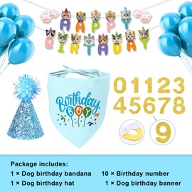 Cat Boy Blue Birthday Party Supplies, Pet Birthday Hat with Numbers, Pet Cat Birthday Bandana, Cats Banner Birthday Decorations for Cats Birthday Outfits (4PCS Pink)