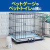 Shoshumoto Pet Deodorizing Air Freshener, For Rooms, Tea Green, 13.5