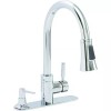 Premier 120076 Essen Kitchen Faucet W/ Pull-Down Sprayer & Soap