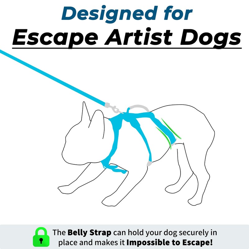 Escape Proof Dog Harness and Leash Set, Lightweight Dog Harness