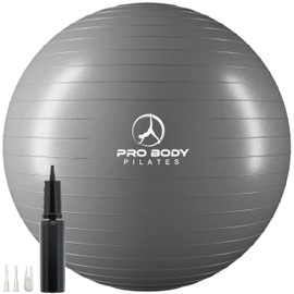 ProBody Pilates Exercise Ball - Multiple Sizes Gym Grade Balance Ball for Fitness, Workout, Pregnancy & Physical Therapy, Stability Yoga Ball Chair (Silver, 55cm)