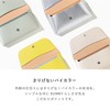 Iroha Publishing SUNNY FLAT PEN POUCH LSPL-04 Misty Green Pencil