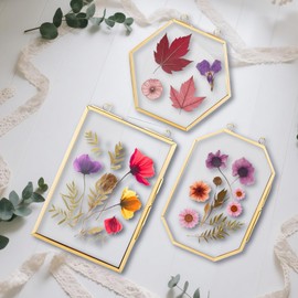 3 Pcs Pressed Flowers Frame Double Glass Frame for Pressed Flowers 6”x4” Botanical Display Metal Frame with Hanging Chain, DIY Dried Flower Preservation Kit Modern Wall Decor for Herbarium Art