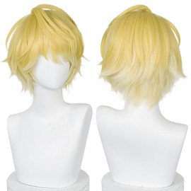 Cat Castle Sonny Brisko Sunny Briscoe Cosplay Wig, Virtual YouTuber VTuber Heat Resistant Wig Anime Costume Accessory Party Event Costume Costume Wigs with Net