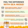 TrueSeaMoss Mix & Match Bundle: Sea Moss Gel (2 Jars)