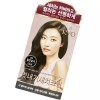 WOW Color 려 우아채 멋내기 새치크림 4N짙은갈색 3회분 1개 염색