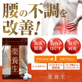 【指定医薬部外品】楽養生 腰痛 肩こり 血流改善 疲労回復 肩 首 腰 膝の不調 骨 歯の衰え 予防 身体抵抗力の維持 改善 90錠