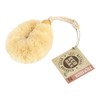 Eco Max Palm Body Brush, 1 Brush