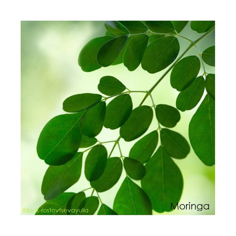 telomit D3K2plus Formula - Capsules with Moringa Powder