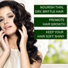 Jojoba Oil Hair for Hair Growth, Jojoba Oil for Hair,
