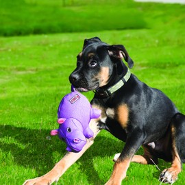 KONG Phatz Pig Dog Toy, Small