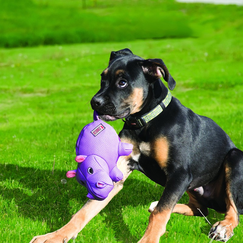KONG Phatz Pig Dog Toy, Small