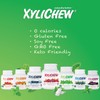 Xylichew Gum Peppermint - 60 Pieces