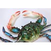 Charlotte International 6 inch Maryland Blue Crab Beach Tiki Bar