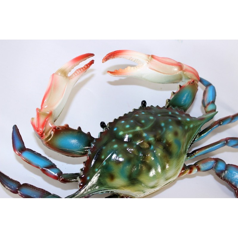 Charlotte International 6 inch Maryland Blue Crab Beach Tiki Bar
