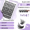B&Qaugen Individual Eyelashes, 208 Pieces, 16MIX, B&Q DIY Lash Clusters,