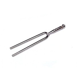 A Tuning Fork - "A" 440 Hz with Soft Shell Case