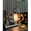 Feng Shui Dragon Turtle Tortoise on Money Base Statue Home