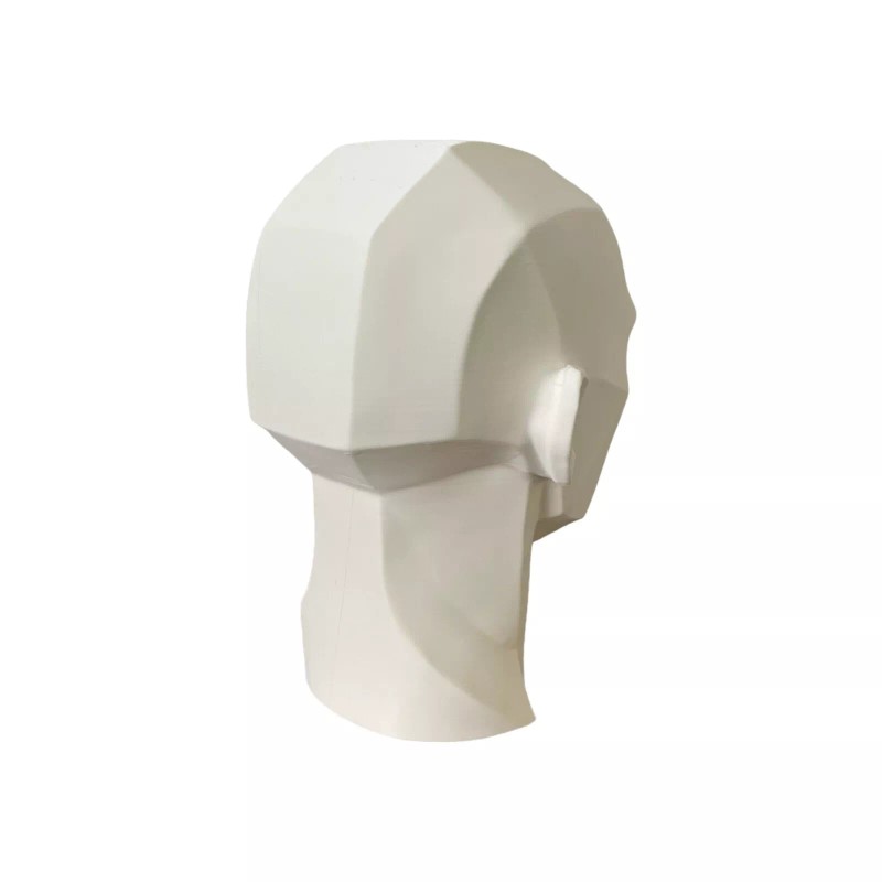 10" 25.4 cm John Asaro Style Planar Head, Planar Bust,