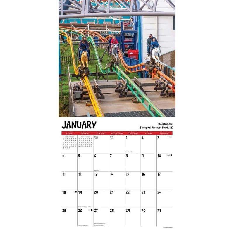 Willow Creek Press, Roller Coasters 2026 Wall Calendar, 12'' X