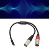 Dual XLR Male to 3.5mm Female Stereo Cable, Professional Balanced
