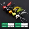 Fly Fishing Popper Lures Kit,Bass Popper Flies Dry Fly Fishing