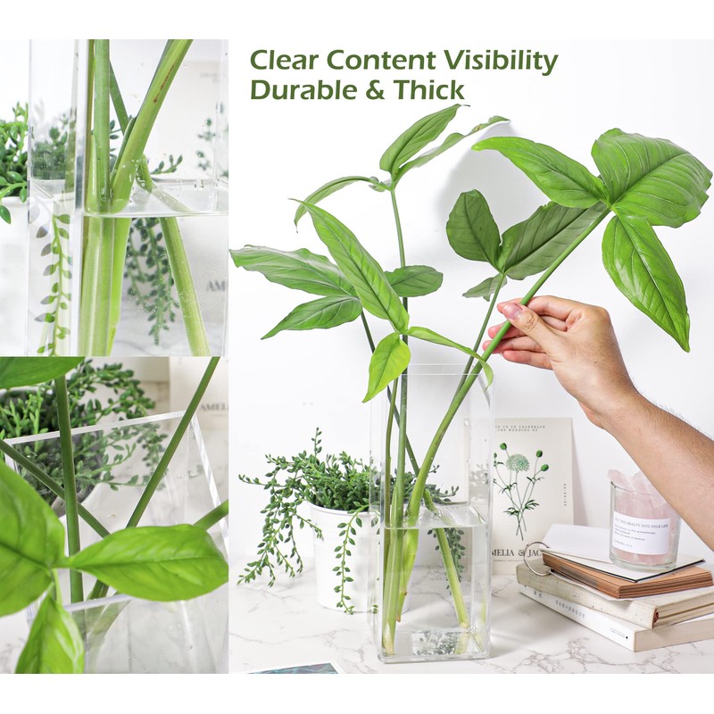 Kamehame Flower Vase Acrylic Clear Vase Tall Rectangle Vase Decorative