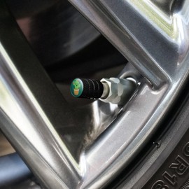 GRAPHICS & MORE Cute Cactus in Pot with Pink Flowers Tire Rim Wheel Aluminum Valve Stem Caps