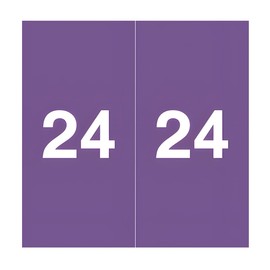 2024 Year Stickers, Doctor Stuff 2024 Chart Stickers, Purple Color Coded, Ames Large Style, USA Made Year Labels for for XRay Jackets, 500/Roll, 1 Roll, 1-7/8" x 1-7/8"