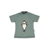 Sterntaler Boys' Short-Sleeved Shark Swimming Shirt Set, Matt Green