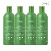 Giaja 지아자 내추럴 올리브 샴푸 400ml 4개 Giaja Natural Olive
