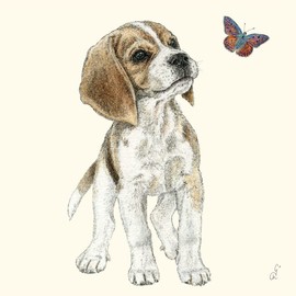 20 Napkins Small Curious Dog Table Decoration Decoupage Decoupage 33 x 33 cm