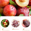 Plums Dried 12.98oz/368g，Korean style dried plums ，Sour and sweet dried