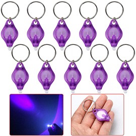 LIAISIMI LED UV Keyring Torch Mini LED Key Ring Light Portable Keychain Torch Black Light UV Urine Detector for Dogs (10 Pieces Purple)