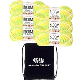 Premier Yarns Bloom Chunky Daisy 1114-16 (6-Pack) Same Dyelot Chunky Bulky #5 Soft Knitting Yarn 100% Acrylic Bundle with 1 Black Project Bag