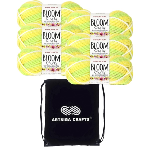 Premier Yarns Bloom Chunky Daisy 1114-16 (6-Pack) Same Dyelot Chunky