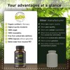 Kelp Bio high-dose 120 Capsules - 165 mg Natural Iodine