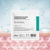 Silisca Hydicare Gel Sheet, Hydrogel Mask Pack / 실리스카 하이디케어겔