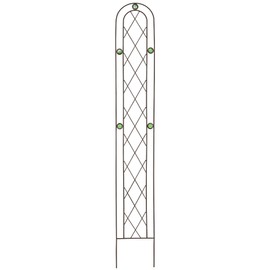 Arcadia Garden Products TR03 Arched Garden Trellis 6' x 10", Black