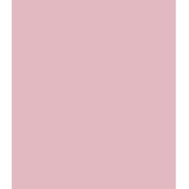 ARK A4 240gsm Colored Card Stock Pack of 10 Sheets (Light Pink)