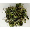 Organic Gotu Kola (Centella asiatica/Hydrocotyle) Dried Herb (100g)