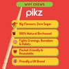 pikz Flavoured Toothpicks – Bold Natural Flavours, Resealable Packs –