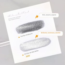 GAOY - Esmalte de uñas en gel Cat Eye, holográfico con brillo plateado de 16 ml con imán, translúcido reflectante
