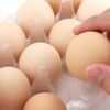 JAPCHET 100 Pack Plastic Egg Cartons, Clear 12 Egg Cartons